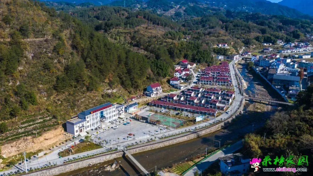 来榜村：盘活土地资源 发展特色产业