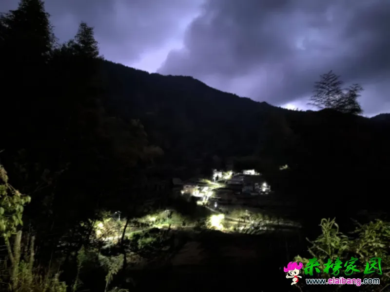 马元村：路灯照阡陌 幸福满村落