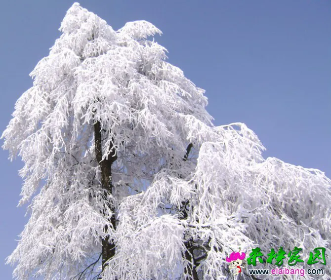 我也来组2008年那场雪