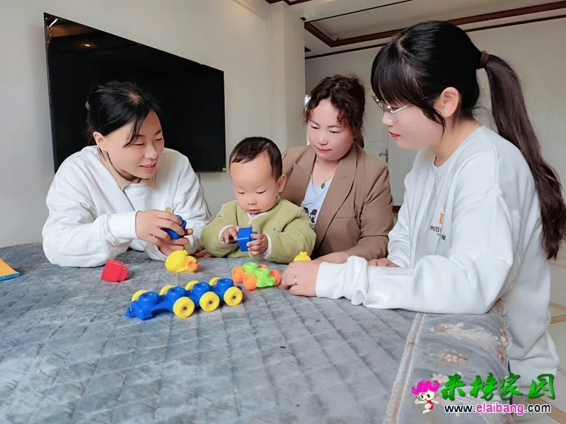 来榜村：绽放葵花正能量 铺满小屋幸福路