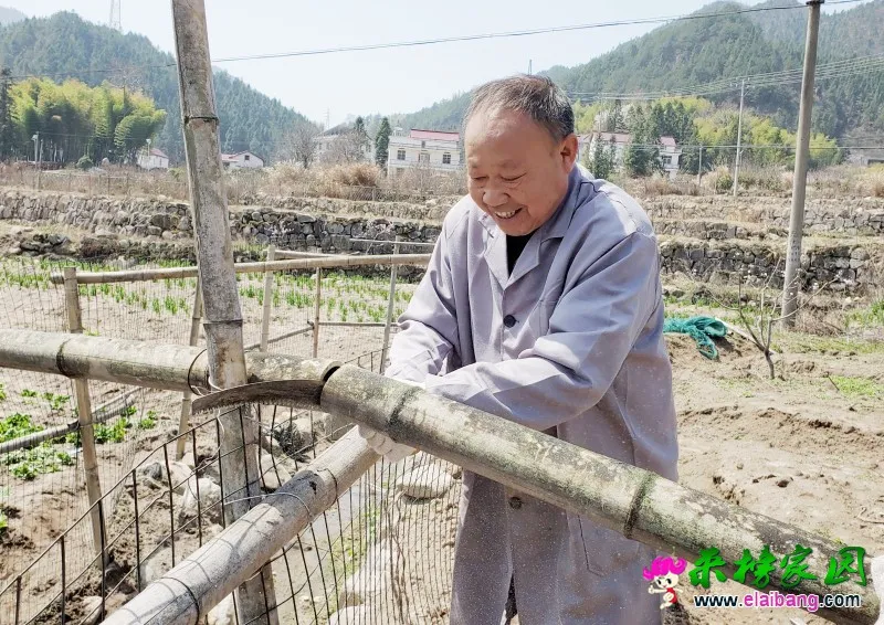来榜镇横河村扩建村部家禽养殖圈促增收