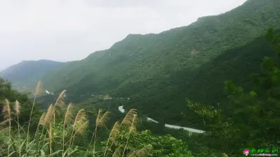 茅坳风光