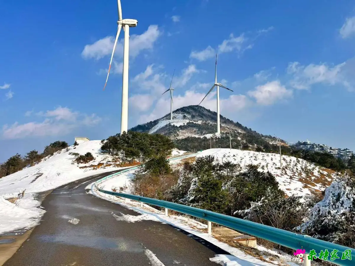 雪漫牛草山，邂逅2026初雪仙境