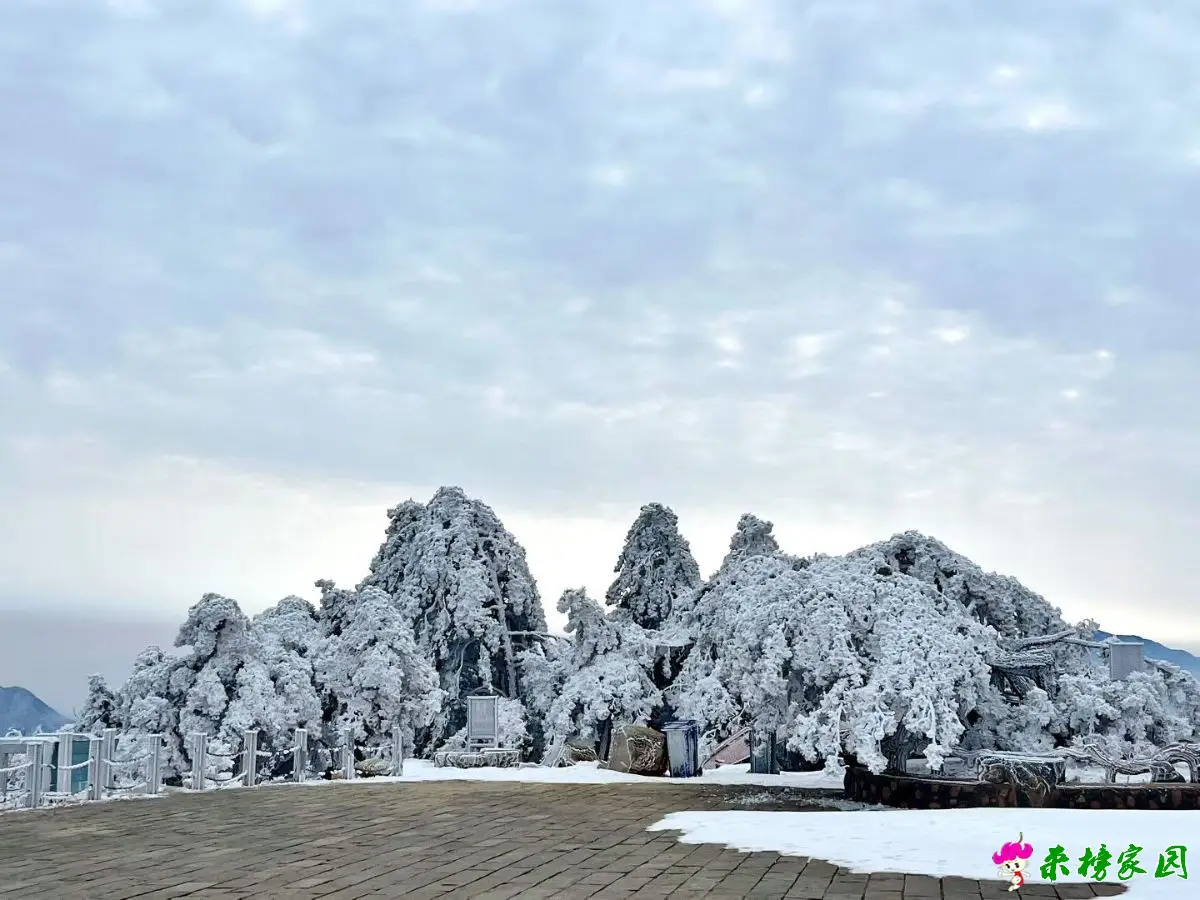 2026年元月牛草山雪景