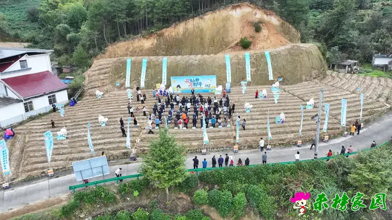 走进岳西茯苓基地，仲景采摘季溯源道地药材魅力