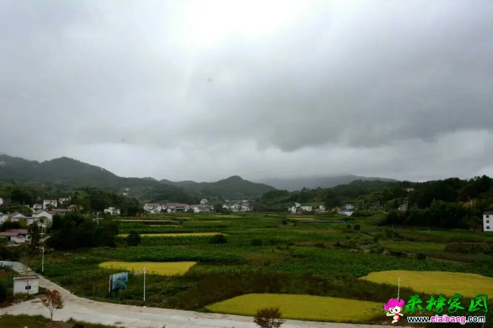 斑竹村：来榜镇十二村巡礼之二