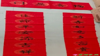 对联      储倩倩