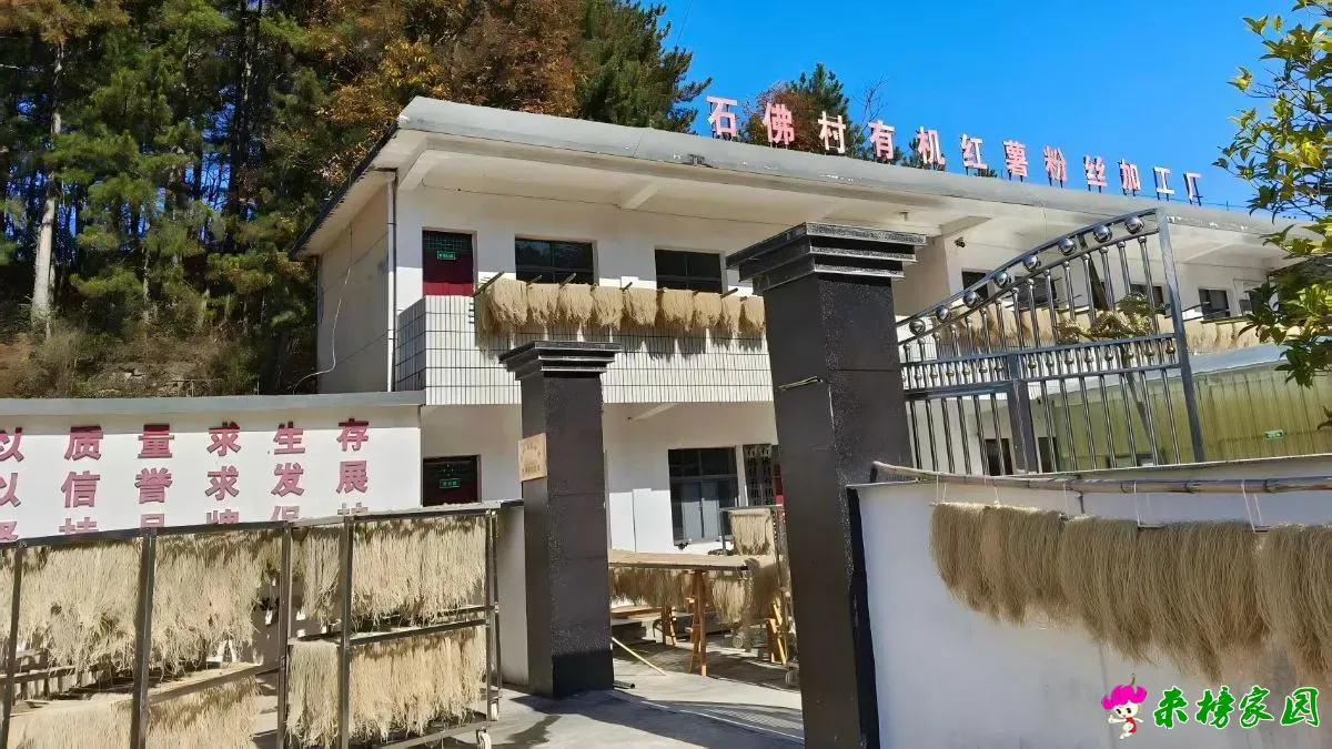 石佛村：山乡晒秋“银丝”舞